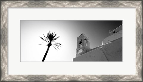 Framed Low angle view of a palm tree near a church , Ios, Greece Print