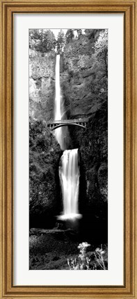 Framed Waterfall in a forest, Multnomah Falls, Columbia River Gorge, Oregon Print