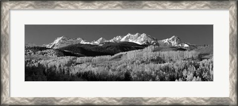 Framed Colorado, Rocky Mountains, aspens, autumn Print