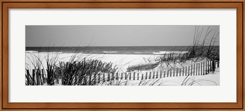 Framed Fence on the beach, Bon Secour National Wildlife Refuge, Bon Secour, Alabama Print