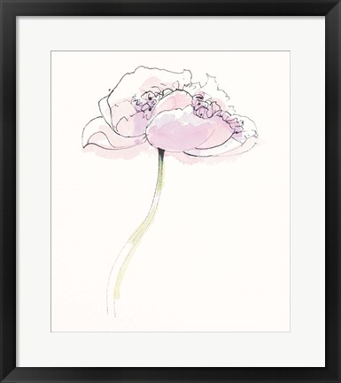 Framed Single Pink Somniferums II on White Print
