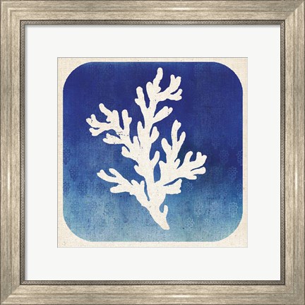 Framed Watermark Coral Print