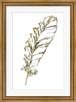 Framed Gilded Turkey Feather I Print