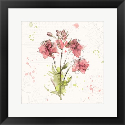 Framed Floral Splash V Print