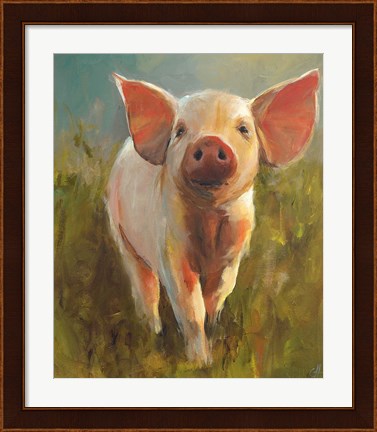 Framed Morning Pig Print