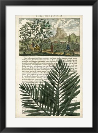 Framed Journal of the Tropics II Print