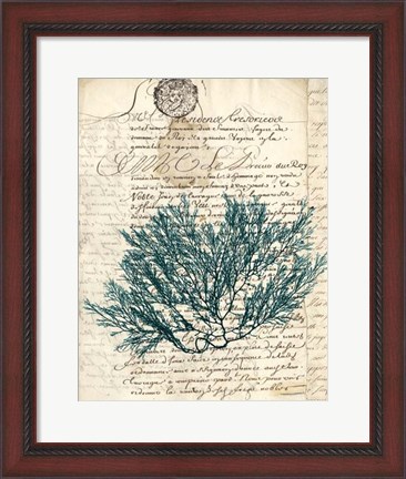 Framed Vintage Teal Seaweed I Print