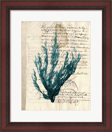Framed Vintage Teal Seaweed II Print