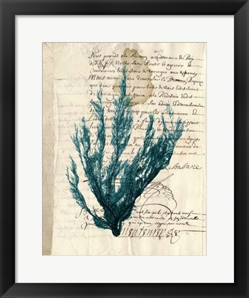Framed Vintage Teal Seaweed II Print