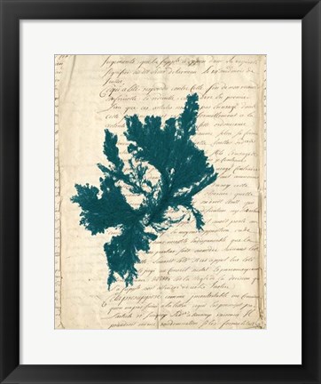 Framed Vintage Teal Seaweed IV Print