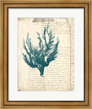 Framed Vintage Teal Seaweed V Print