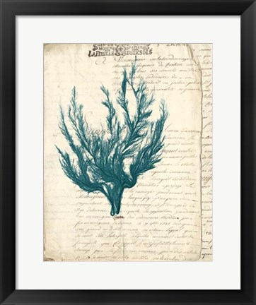 Framed Vintage Teal Seaweed V Print