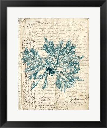 Framed Vintage Teal Seaweed VI Print
