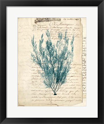 Framed Vintage Teal Seaweed VII Print