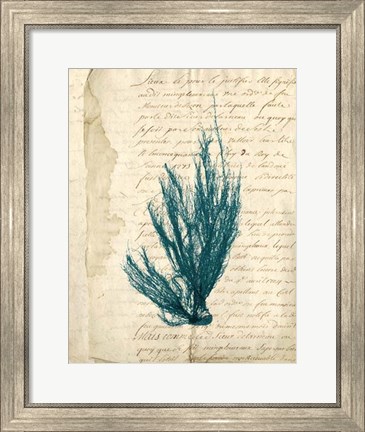Framed Vintage Teal Seaweed IX Print