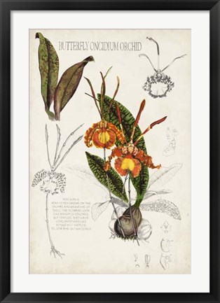 Framed Orchid Field Notes IV Print