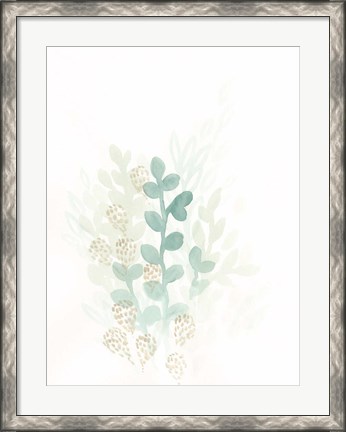 Framed Sprout Flowers II Print