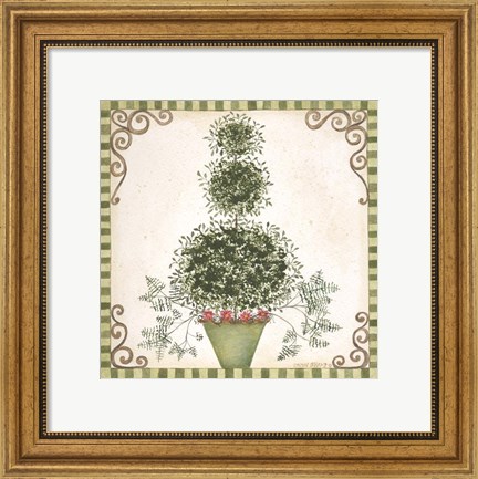 Framed Topiary II Print
