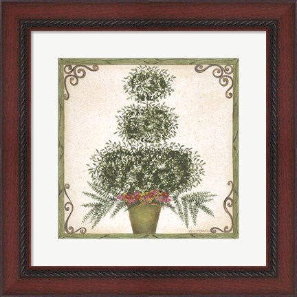 Framed Topiary III Print