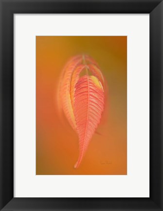 Framed Sumac Leaf Print