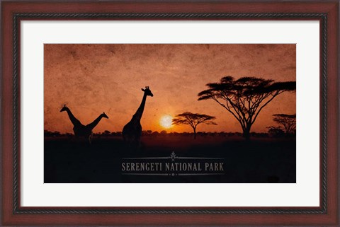 Framed Vintage Sunset with Giraffes in Serengeti National Park, Africa Print
