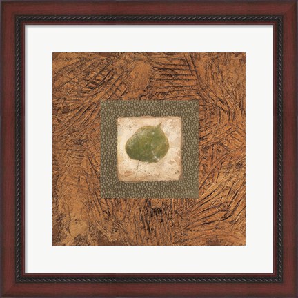 Framed Sedona Naturals A Print