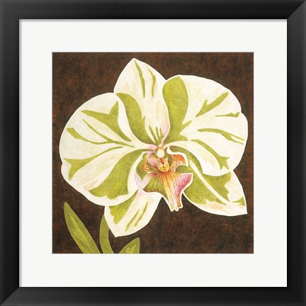 Framed Surabaya Orchid Petites A Print