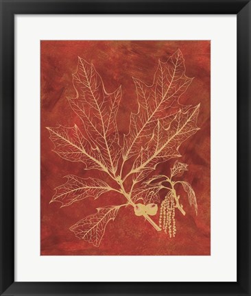 Framed Golden Oak I Print