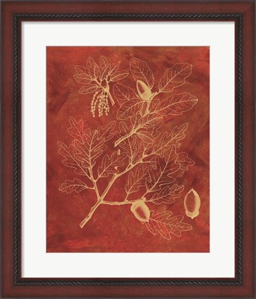 Framed Golden Oak II Print