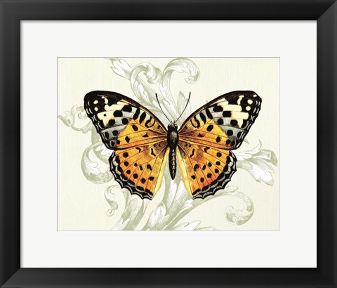 Framed Butterfly Theme IV Print