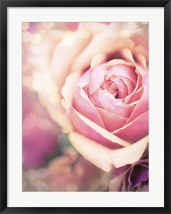 Framed Rosie Pink I Print