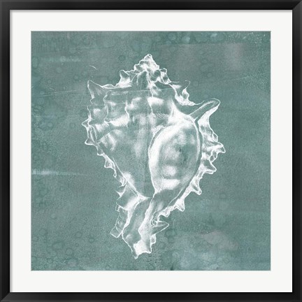 Framed Solitary Shell I Print