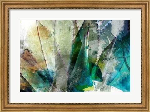 Framed Agave Abstract II Print