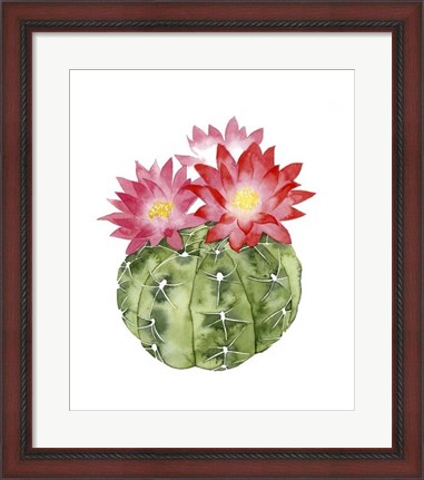 Framed Cactus Bloom III Print