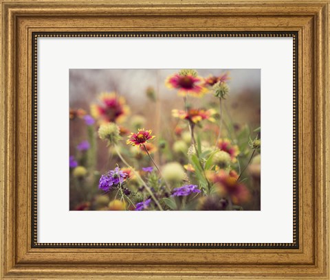 Framed Wild Blooms I Print