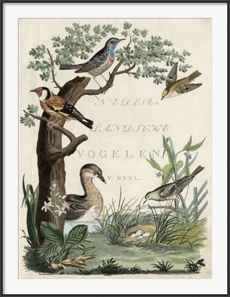Framed Duck Sanctuary Print
