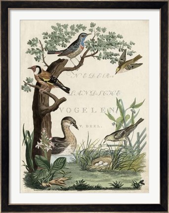 Framed Duck Sanctuary Print