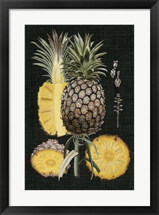 Framed Graphic Pineapple Botanical Study II Print