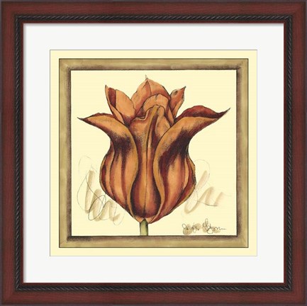 Framed Tulip Study VI Print