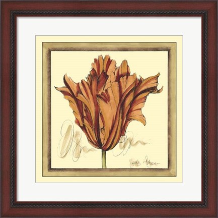 Framed Tulip Study VII Print