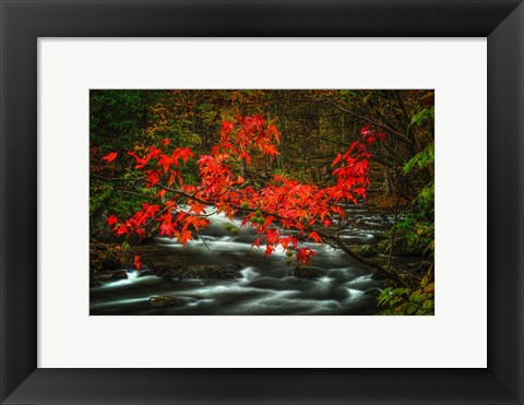 Framed Fall in Smokies Print