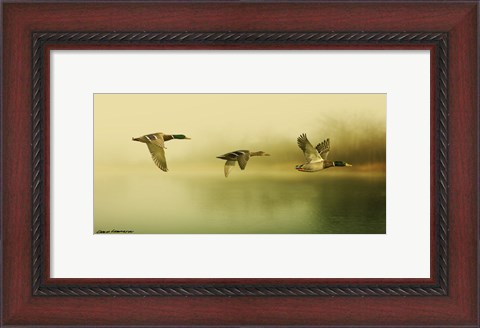 Framed Ducks Flying Print