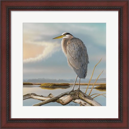 Framed Marsh Watch - Great Blue Heron Print