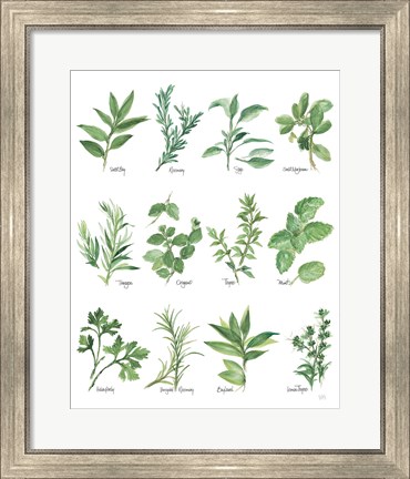Framed Herb Chart Print