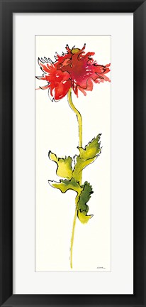 Framed Peony Form Poppies III Print