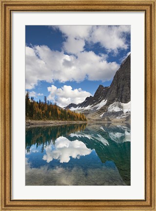 Framed Floe Lake Reflection I Print