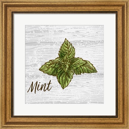 Framed Mint on Wood Print