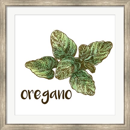 Framed Oregano Print