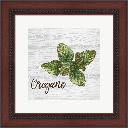 Framed Oregano on Wood Print