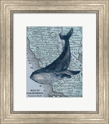 Framed California&#39;s Grayback Whale Print